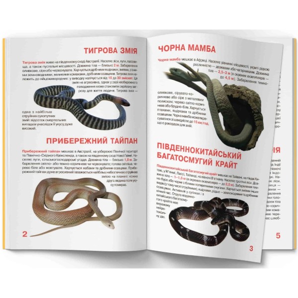 Фото - Crystal Book Большая книга. Ядовитые змеи (9789669870322)